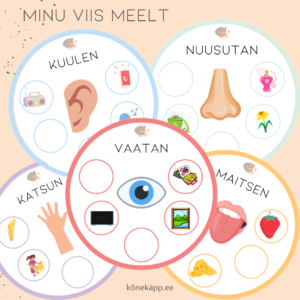 Minu viis meelt